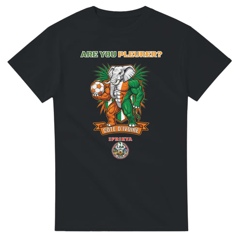 0c6add98-4884-46c9-b38e-84428709f6b1