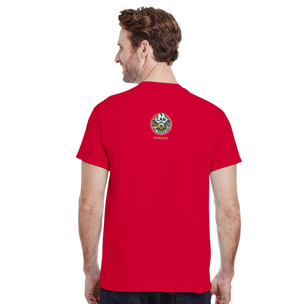 Les Aigles de Carthage