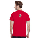 Les Aigles de Carthage